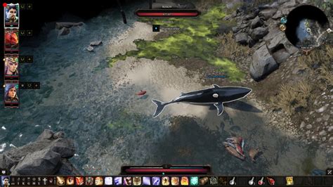 divinity 2 shark